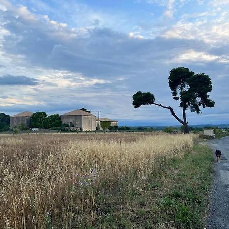 Charming Village House With Roof Top Terrace! Thezan-les-Beziers Εξωτερικό φωτογραφία