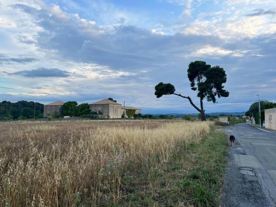 Charming Village House With Roof Top Terrace! Thezan-les-Beziers Εξωτερικό φωτογραφία